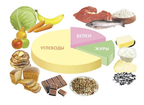 Основные питательные вещества, необходимые клубничным растениям