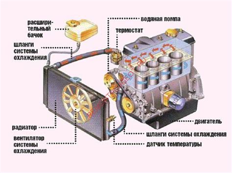 Основные предпосылки возникновения неисправности с электронным управлением двигателя на автомобиле Шкода Рапид