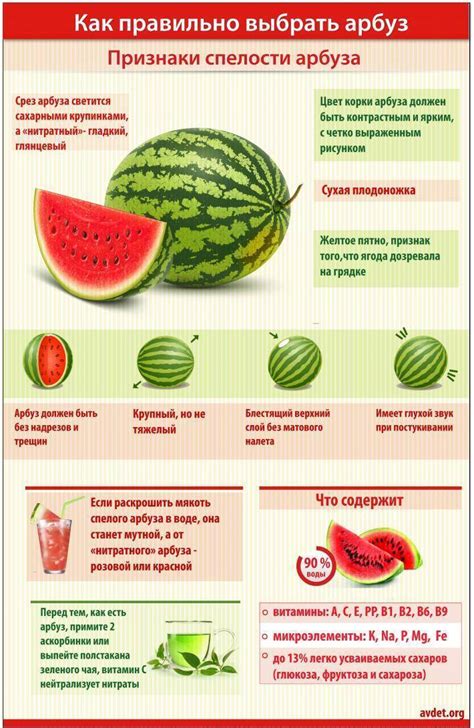 Основные признаки готовности арбуза для употребления
