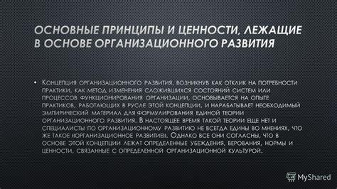 Основные принципы и задачи, лежащие в основе функционирования аналитических оперативных сетей