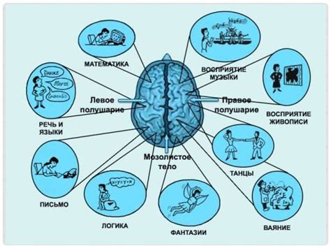 Основные принципы и подходы для повышения эффективности работы мозга