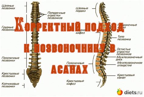 Основные принципы корректного введения резиновых протекторов в звуковоспринимающие органы