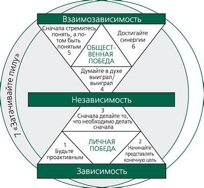 Основные принципы обретения навыков и погружения в мир хобби хорса