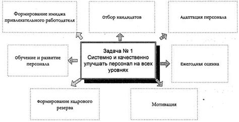 Основные принципы организации и структурирования книжной коллекции