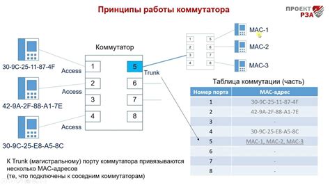 Основные принципы работы коммутатора первого порта в системе контроля строительства