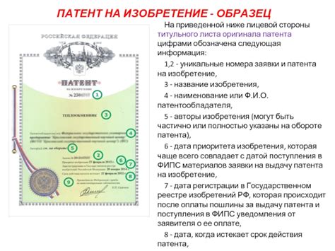 Основные принципы успешной регистрации патента на новинку: информация для заявителей