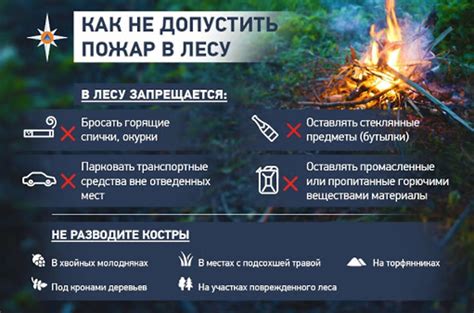 Основные причины возникновения осыных укусов