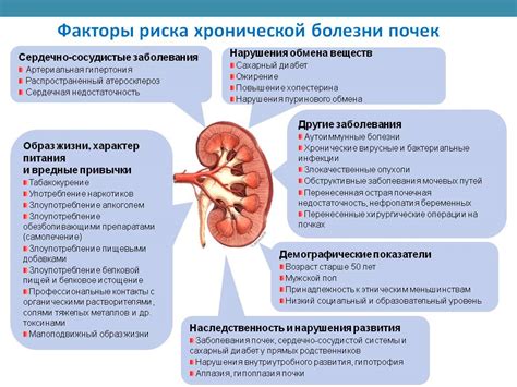 Основные причины и факторы, влияющие на функционирование почек после употребления алкоголя