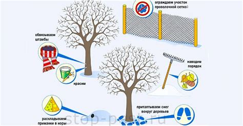 Основные причины присутствия подземных грызунов на территории садового участка