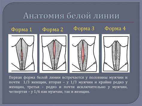 Основные проявления неполадок в области белой линии живота