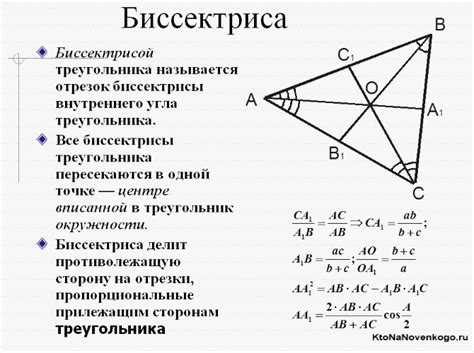 Основные свойства центральной прямой в треугольнике