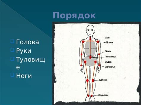 Основные составляющие скина: голова, тело, руки и ноги