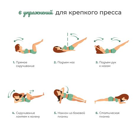 Основные упражнения для тренировки животных мышц