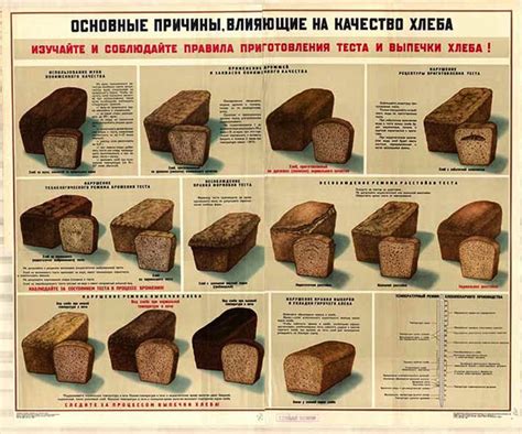 Основные факторы, влияющие на качество выпечки хлеба