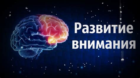 Основные факторы, влияющие на снижение фокусировки внимания и восстановление памяти у взрослых