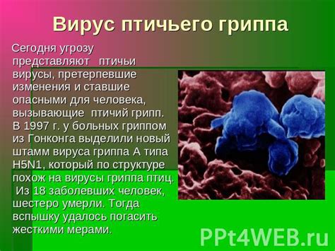 Основные факторы, вызывающие появление птичьего микоплазмоза у человека