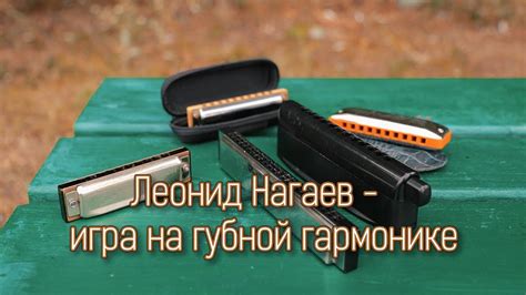 Основы игры на губной гармошке для новичков