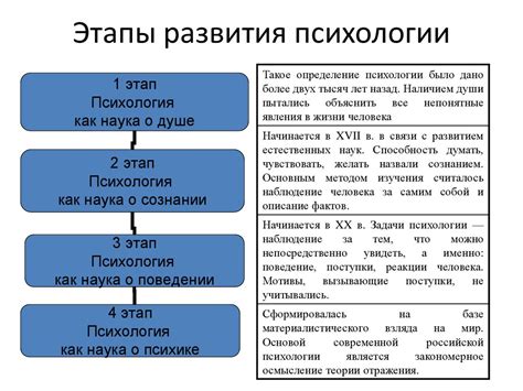 Основы изучения выбранной отрасли