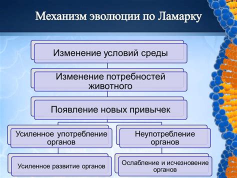 Основы механизма формирования пылкого клыка: важная информация