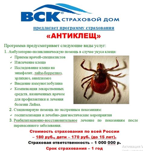 Особенности анатомии клеща