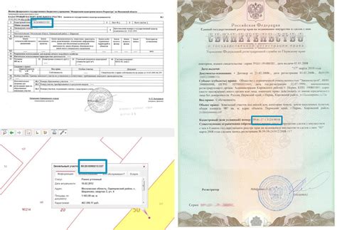 Особенности и преимущества использования кадастрового номера в государственных и муниципальных структурах