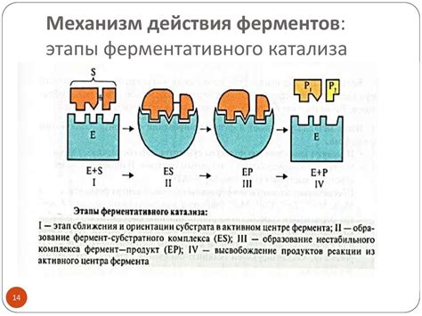 Особенности люминофора и его механизм действия