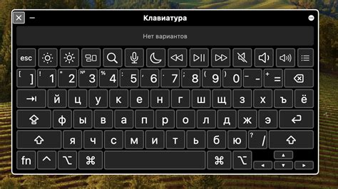 Особенности организации клавиш на русской раскладке клавиатуры «Макбук»
