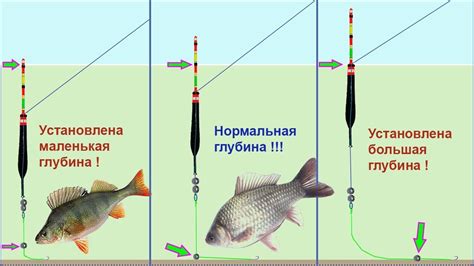 Особенности проводки и контроля поплавка