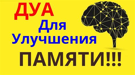 Особенности работы мозга и памяти при обработке информации во сне