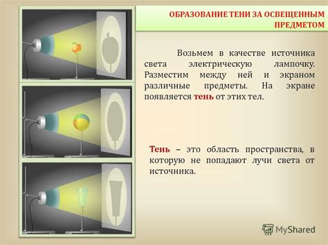 Особенности светлячка в качестве источника света