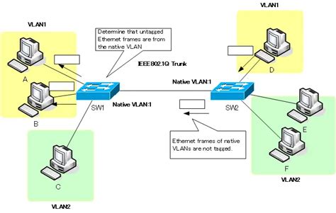 Особенности VLAN и роль Native VLAN