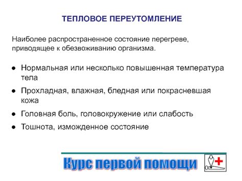 Острая или хроническая запор: распространенное состояние, приводящее к проблемам с кишечным транзитом