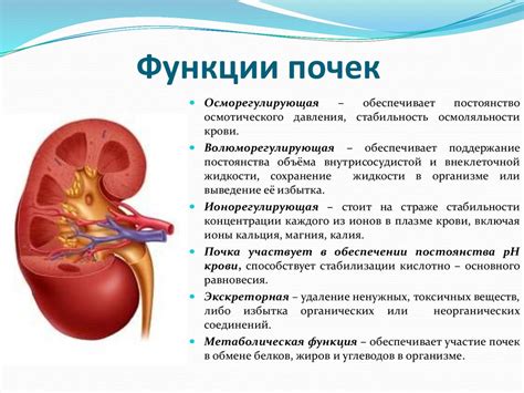 Острый дефицит функции почек