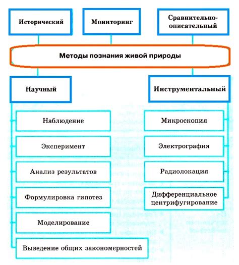 Отличительные черты исследования природы сущности: указатели и способы анализа