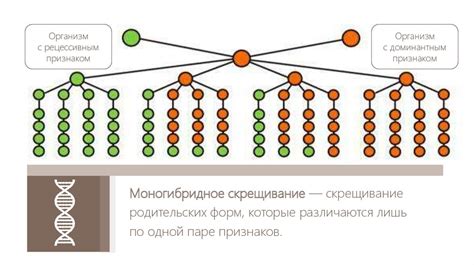 Отследить свой генотип без хлопот: простые методы