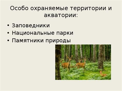 Охраняемые территории природы в качестве средство сохранения биоразнообразия