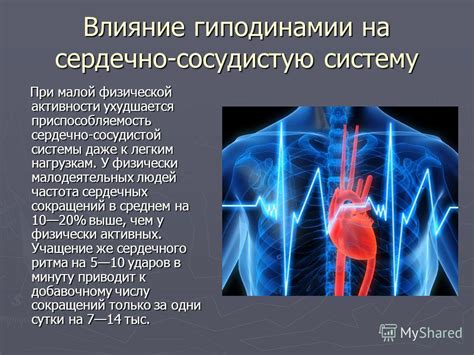 Ошибки сердечно-сосудистой системы: их влияние на здоровье и методы профилактики