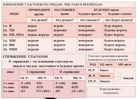 Падежность глаголов: структура и категории