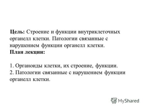 Патологии, связанные с нарушением нормального функционирования механизмов потребности в жидкости у китавы