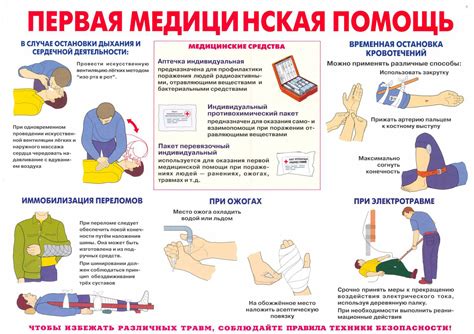 Первая помощь при отравлении кота: важные шаги