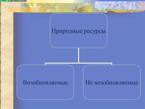 Переход на специальный рацион и его воздействие на состояние и развитие маленьких кошечек