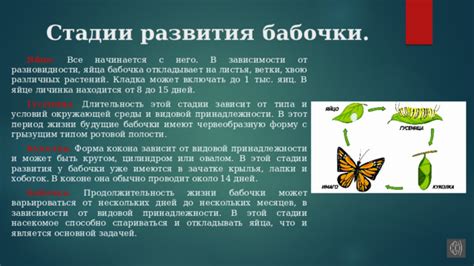 Периодическое вращение яиц: обеспечение оптимальных условий развития