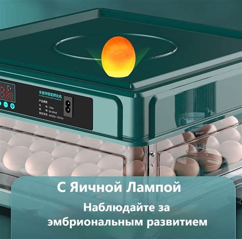 Периодическое переворачивание яиц