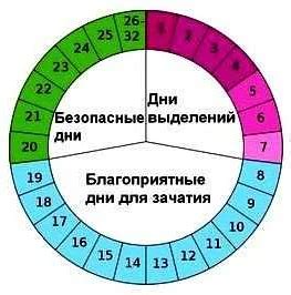 Перспективы зачатия: оптимальный момент