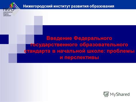 Перспективы развития концепции Русского стандарта 4 ноября
