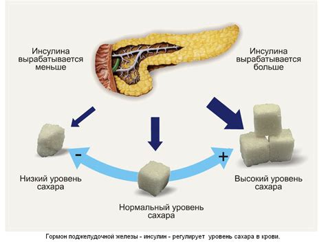 Питание, благоприятно влияющее на уровень глюкозы в организме