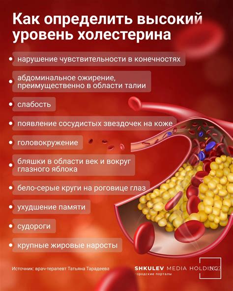 Повышенный или сниженный уровень холестерина: что свидетельствуют эти аномалии