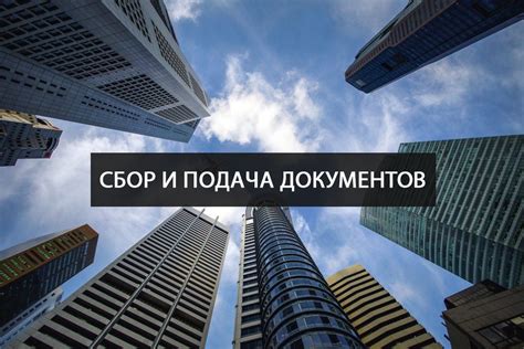 Подача необходимых документов в государственные учреждения