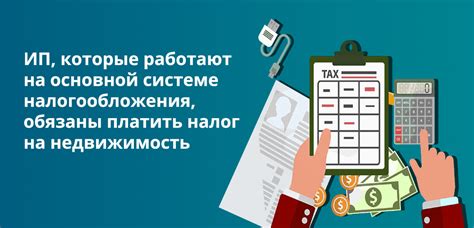 Подбор и покупка фискального устройства для индивидуального предпринимателя: важный этап в организации финансового процесса