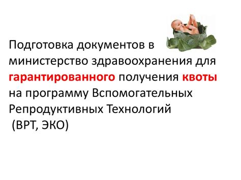 Подготовка документов для получения квоты на сохранение окружающей среды